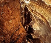 Golden Oud